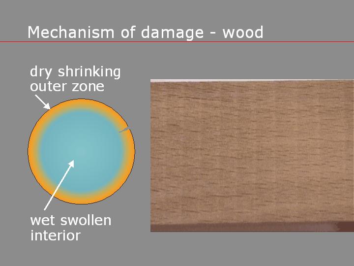 dry shrinking of wood